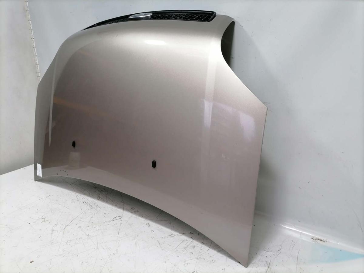 Ford Fusion original Motorhaube Sahara Metallic Bj.2004